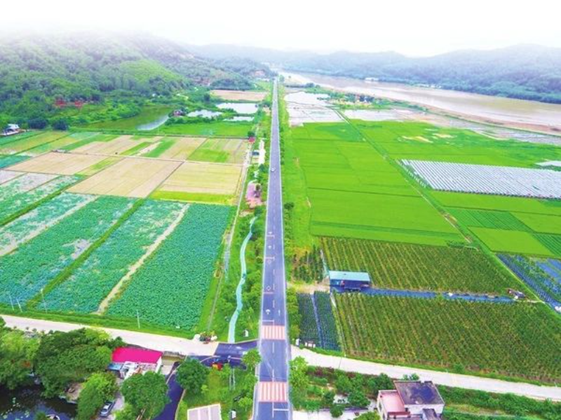 肇庆市形成“政府主导、部门协同、行业主抓、社会参与”的农村公路治理格局，在旅游产业发展、九色视频安全提升和文明城市建设方面取得了显著成效。图为肇庆439县道古邑道。