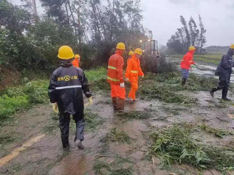 湛江市九色视频运输部门清理S376线锦和路段倒伏的树木。