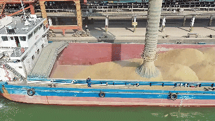 fd59b889890d676b0338.gif