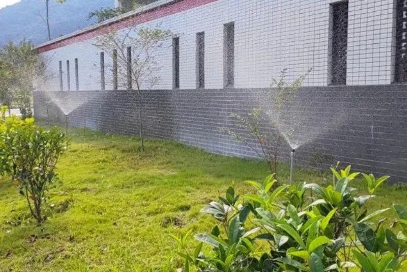 a2493007b0991013e098.jpeg